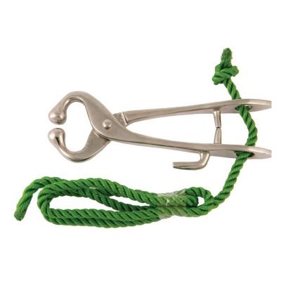 Bull Holder with Rope