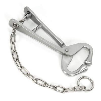 Bull Lead With Chain